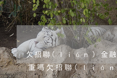 欠招聯(lián)金融后果嚴(yán)重嗎(欠招聯(lián)金融后果嚴(yán)重嗎)