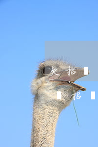 欠招聯(lián)金融已無力償還會坐牢嗎(招聯(lián)金融無力償還會怎樣)