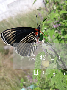 欠招聯(lián)金融幾千沒(méi)錢(qián)還了