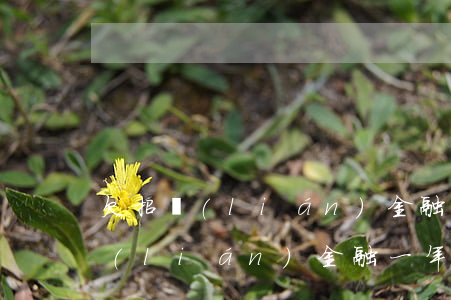 欠招聯(lián)金融快1年沒還了(招聯(lián)金融一年多沒還)