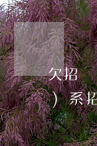 欠招聯(lián)金融怎么聯(lián)系招聯(lián)公司(招聯(lián)金融催款電話是哪里的)