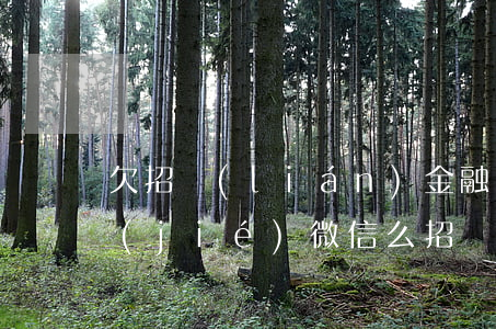 欠招聯(lián)金融會(huì)凍結(jié)微信么(招聯(lián)金融給我凍結(jié)了)