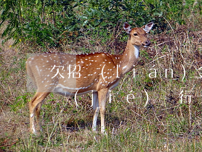 欠招聯(lián)金融會(huì)被凍結(jié)銀行卡嗎(招聯(lián)金融逾期會(huì)被凍結(jié)名下所有銀行嗎)