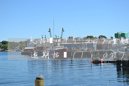 欠招聯(lián)金融然后辦招行儲蓄卡(逾期招聯(lián)我招商儲蓄卡)