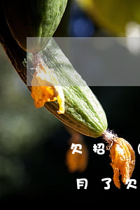 欠招聯(lián)金融的錢一個(gè)月了(欠了招聯(lián)金融的錢,現(xiàn)在沒錢還怎么辦)
