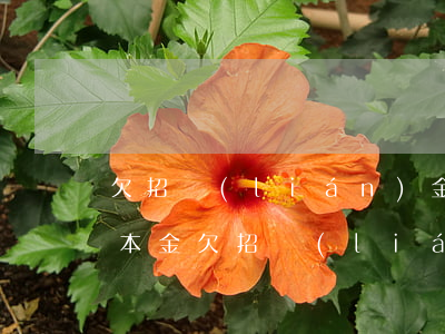 欠招聯(lián)金融的錢怎么可以只還本金(欠招聯(lián)金融的錢還不起了有刑事責(zé)任嗎?)