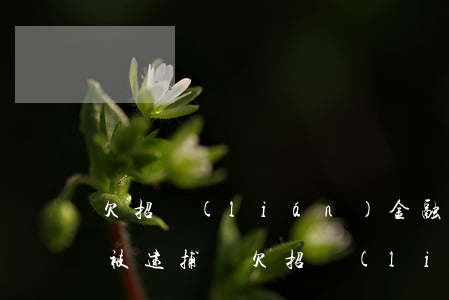 欠招聯(lián)金融的錢會(huì)被逮捕嗎(欠招聯(lián)金融的錢還不起了有刑事責(zé)任嗎?)