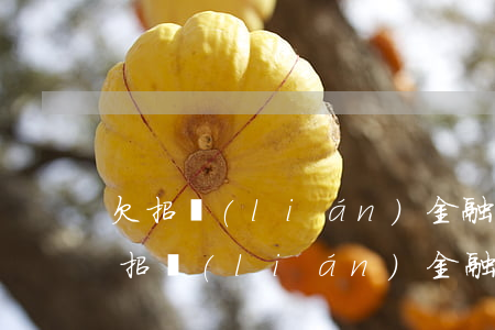 欠招聯(lián)金融的錢會不會坐牢(欠招聯(lián)金融的錢還不起了有刑事責(zé)任嗎?)