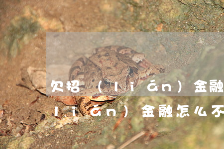 欠招聯(lián)金融的錢被催收(招聯(lián)金融怎么不催款了)