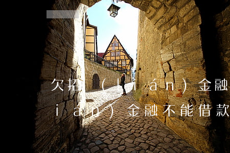 欠招聯(lián)金融貸款不還(招聯(lián)金融不能借款了怎么回事)