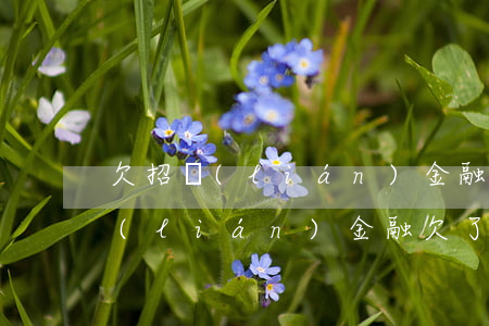 欠招聯(lián)金融貸款警察管嗎(招聯(lián)金融欠了2年多了沒有還警察會管嗎)
