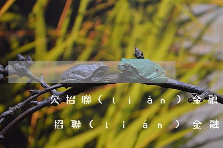 欠招聯(lián)金融還不上應該怎么辦(招聯(lián)金融無法還款怎么回事啊)