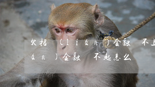 欠招聯(lián)金融還不上(招聯(lián)金融還不起怎么辦)
