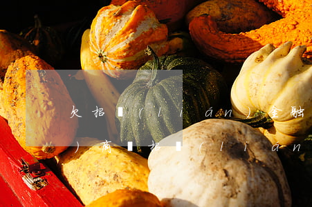 欠招聯(lián)金融錢可以協(xié)商嗎(招聯(lián)金融能協(xié)商還款嗎)