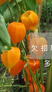 欠招聯(lián)金融錢逾期三個(gè)多月了(招聯(lián)金融欠款3000已經(jīng)逾期半年了我會坐牢嗎)