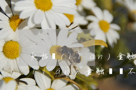 欠招聯(lián)金融錢還不了(欠招聯(lián)金融錢還不了)