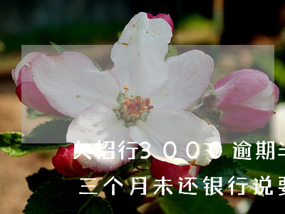 欠招行3000逾期半年(招行欠款6万多超三个月未还 银行说要报警)