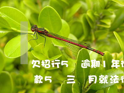 欠招行5萬逾期1年律師上門了 招商銀行欠款5萬三個月就法律訴訟了嗎?