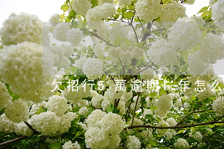 欠招行5萬逾期1年怎么處理