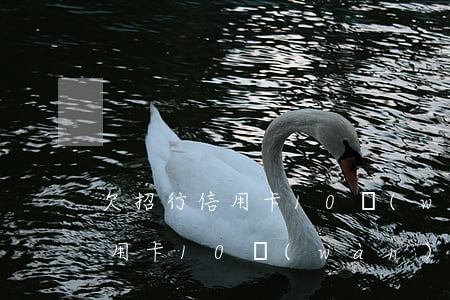 欠招行信用卡10萬(wàn)逾期(招行信用卡10萬(wàn)以上逾的多嗎)