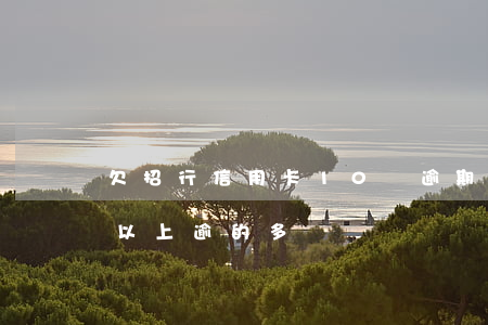 欠招行信用卡10萬逾期(招行信用卡10萬以上逾的多嗎)