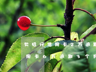 欠招行信用卡2万逾期4个月了(招商银行信用卡6万逾期3个月要起诉我怎么办)