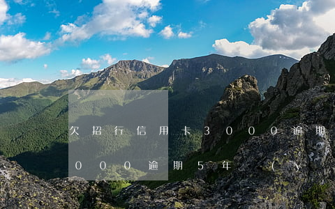 欠招行信用卡3000逾期(欠招行信用卡3000逾期5年應(yīng)該還多少?)