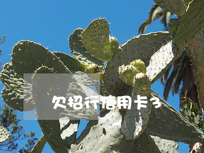 欠招行信用卡3萬沒還(招商欠三萬還不起)