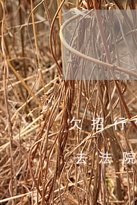 欠招行信用卡3萬說已經(jīng)起訴去法院怎么辦（招商銀行信用卡欠三萬）