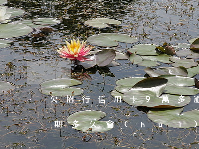 欠招行信用卡9萬多逾期(招商銀行信用卡逾期多久會(huì)被說惡意拖欠)