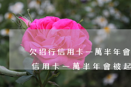 欠招行信用卡一萬半年會被起訴嗎-欠招行信用卡一萬半年會被起訴嗎知乎