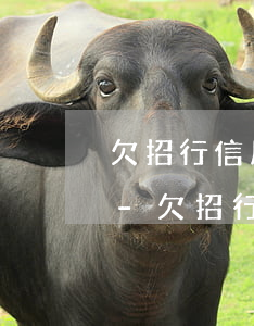 欠招行信用卡快一年了怎么協(xié)商-欠招行信用卡快一年了怎么協(xié)商還款