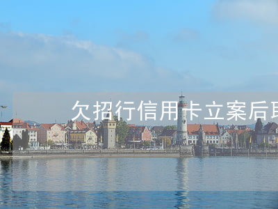 欠招行信用卡立案后(取消百度页面)