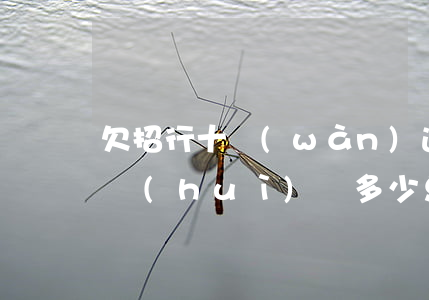 欠招行十萬(wàn)逾期三個(gè)月會(huì)罰多少息-招商銀行欠款10萬(wàn)逾期三個(gè)月,一毛錢(qián)沒(méi)還進(jìn)去