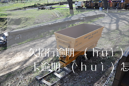 欠招行逾期會(huì)扣安居卡(招商銀行卡逾期會(huì)怎么樣)