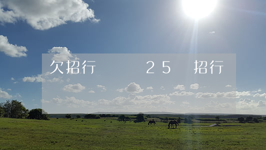 欠招行閃電貸25萬(招行閃電貸20萬)