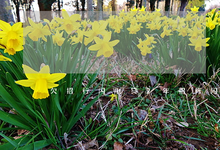 欠招行闪电贷2年(招行闪电贷还不上判刑)