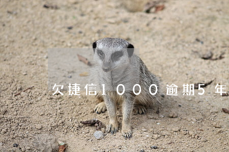 欠捷信1000逾期5年要還多少