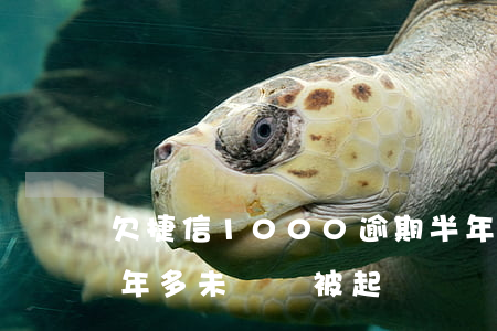 欠捷信1000逾期半年(欠捷信一千多元,三年多未還,會被起訴嗎)