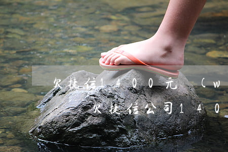 欠捷信1400元無(wú)力償還怎么辦-還欠捷信公司1400塊錢(qián)沒(méi)還會(huì)不會(huì)起訴