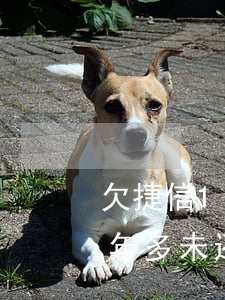 欠捷信1万逾期快2年了(欠捷信一千多元,三年多未还,会被起诉吗)