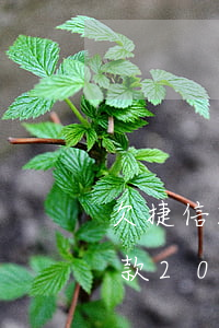 欠捷信2萬(wàn)元逾期一年多(捷信欠款20000逾期一年有沒(méi)有被起訴的)