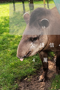 欠捷信4000逾期一年要還多少-欠捷信4萬(wàn)多,逾期一年,這些后果你承受得起嗎?