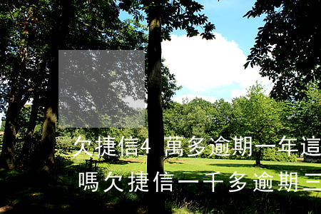 欠捷信4萬多,逾期一年,這些后果你承受得起嗎?（欠捷信一千多逾期三年）