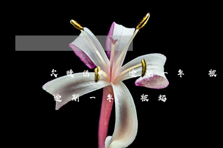 欠捷信4萬逾期一年會被起訴嗎(欠捷信4萬逾期一年會被起訴嗎)