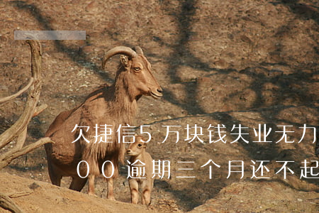 欠捷信5万块钱失业无力偿还(欠捷信50000逾期三个月还不起了怎么办)