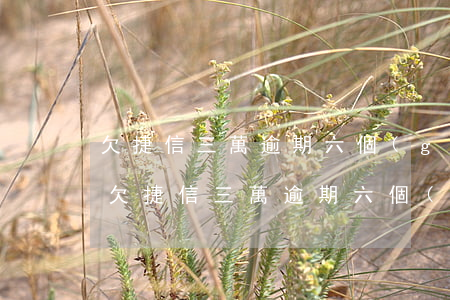 欠捷信三萬逾期六個(gè)月了怎么辦-欠捷信三萬逾期六個(gè)月了怎么辦呢