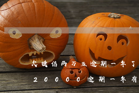 欠捷信两万五逾期一年了怎么办-捷信欠款20000逾期一年有没有被起诉的