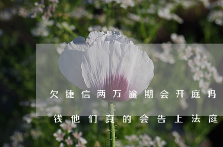 欠捷信两万逾期会开庭吗(欠捷信3000块钱他们真的会告上法庭吗 最新消息)