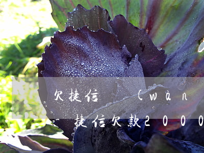 欠捷信兩萬(wàn)五逾期一年了怎么辦-捷信欠款20000逾期一年有沒(méi)有被起訴的